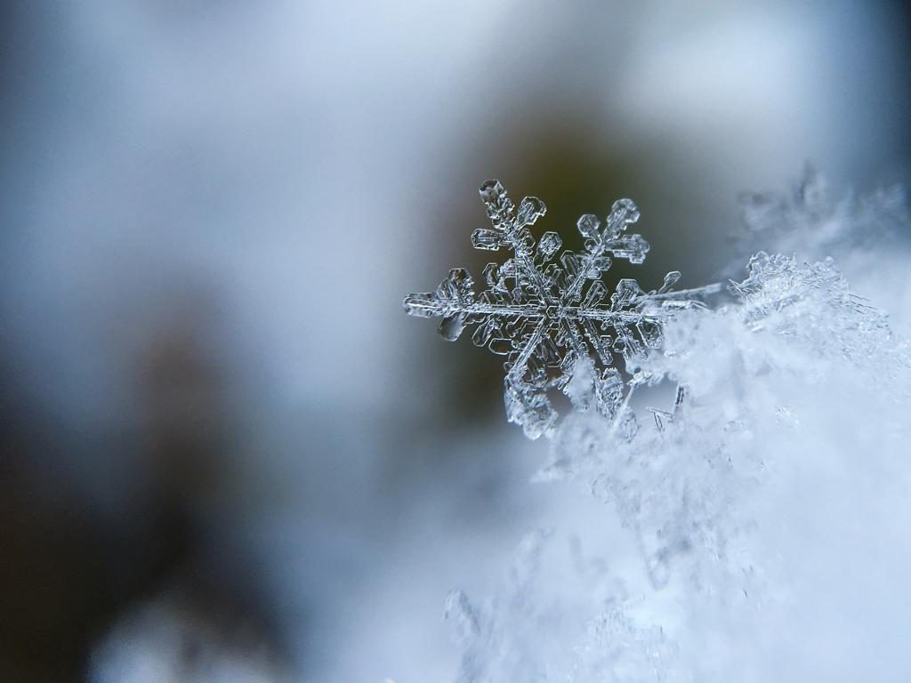 Frost